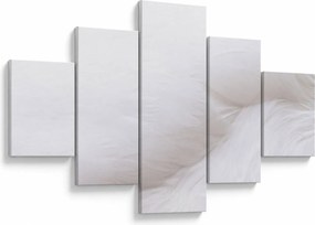 Obraz - Białe pióro (125x70 cm)