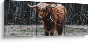 Obraz - Szkocka krowa 2 (z zegarem) (90x30 cm)