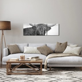 Obraz - Szkocka krowa 2, czarno - biały (z zegarem) (90x30 cm)