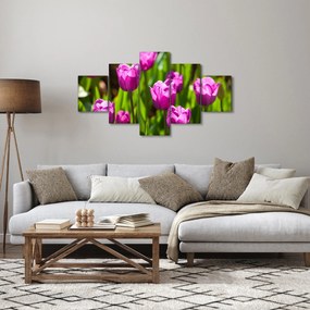 Obraz tulipanów na łące (125x70 cm)