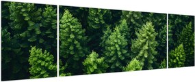 Obraz - Las (170x50 cm)