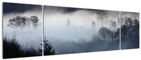 Obraz mgły nad lasem (170x50 cm)