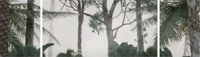 Obraz - dżungla w porannej mgle (170x50 cm)