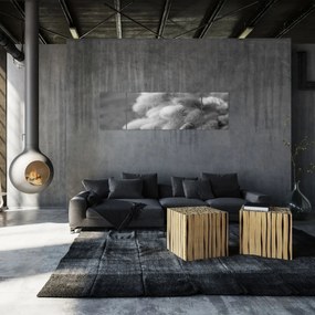Obraz - trawa z króliczym ogonkiem na stole (170x50 cm)