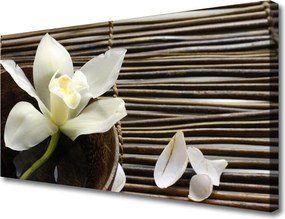 Fotoobraz na płótnie Subtelny Rozkwit Natury