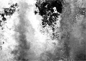 Obraz - Wylęg (70x50 cm)