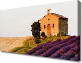 Duży obraz na płótnie Horyzont nad Złotym Polem