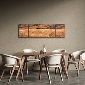 Obraz pola (170x50 cm)
