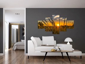 Obraz pola o zachodzie słońca (125x70 cm)