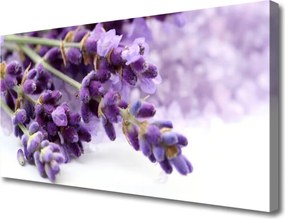 Obraz canvas na ścianę Ogród Botaniczny w Pełni