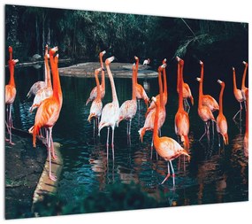 Obraz stada flamingów (70x50 cm)