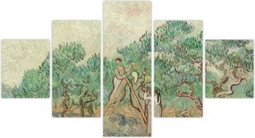 Obraz - Vincent van Gogh, The Olive Orchard, reprodukcje (125x70 cm)