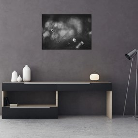 Obraz - Trawa łąkowa (70x50 cm)