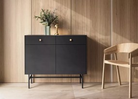 Alderia 2D2S – nowoczesna komoda do salonu i sypialni, dostępna w 2 kolorach