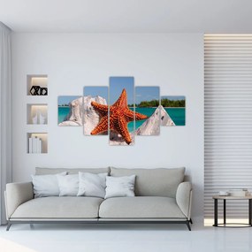 Obraz rozgwiazdy (125x70 cm)