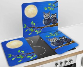 Szklane płyty ochronne SOWY na kuchenkę – 2 sztuki, WENKO