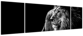 Obraz - Lew (170x50 cm)