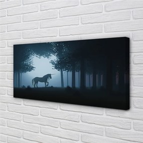 Zdjęcie na płótnie Nocny Las i Jednorożec