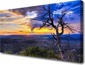 Zdjęcie na płótnie Sylwetka Drzewa o Zachodzie