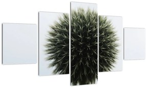 Obraz kuli kwiatowej (125x70 cm)
