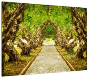 Obraz - Żywy tunel plumerii (70x50 cm)