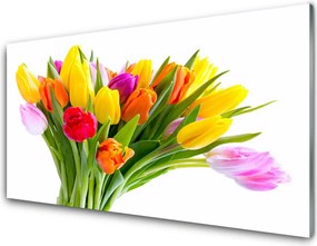 Panel Szklany do Kuchni Kolorowe Pole Tulipanów