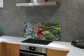 Panel szklany do Kuchni Majestatyczna Papuga Ara