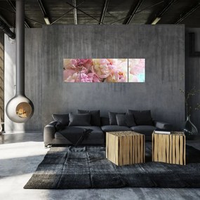 Obraz - Piwonie (170x50 cm)