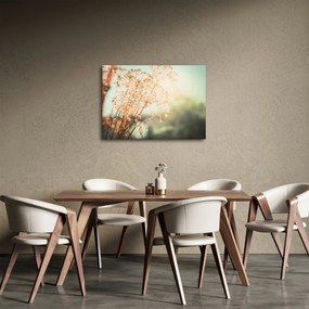 Obraz - Rośliny po deszczu (70x50 cm)