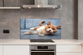 Panel szklany do Kuchni Spokojny Odpoczynek Kota