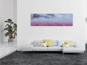 Obraz - Krajobraz z polami tulipanów (170x50 cm)
