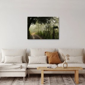Obraz porannej mgły (70x50 cm)