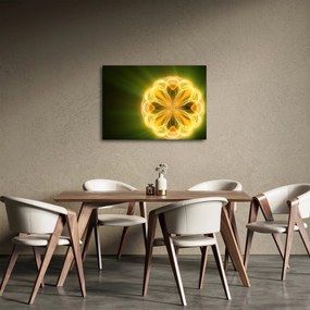 Obraz żółtego kwiatu (70x50 cm)