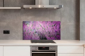 Szkło do Kuchni na Ścianę Fioletowy Dywan Wrzosowisk