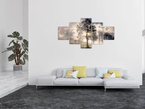 Obraz drzewa we mgle (125x70 cm)