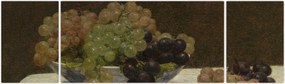 Obraz - Henri Fantin-Latour, Still Life with Grapes and a Carnation, reprodukcje (170x50 cm)