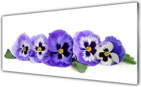 Dekor Szklany do Kuchni Kolorowe Aksamitne Bratki