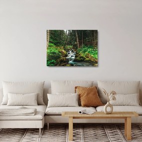 Obraz na szkle strumienia w lesie (70x50 cm)