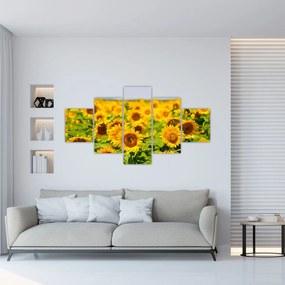 Obraz - Słoneczniki (125x70 cm)