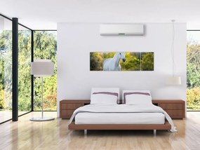 Obraz białego konia na łące (170x50 cm)