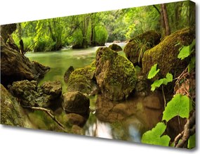 Obraz na płótnie Skała nad Cichym Jeziorem