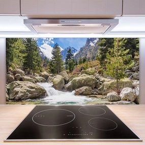 Panel Szklany Dziki Potok w Górskim Lesie