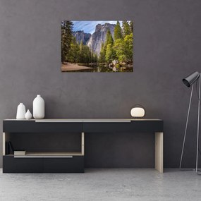 Obraz na szkle - Pod Yosemite Rock (70x50 cm)