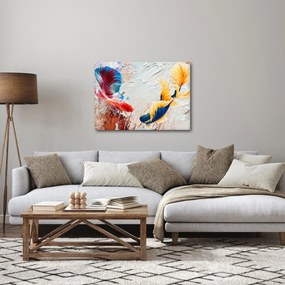 Obraz - Ryby bojowniki (70x50 cm)