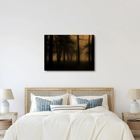 Obraz - Ciemny las (70x50 cm)