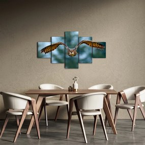 Obraz - Sowa w locie (125x70 cm)