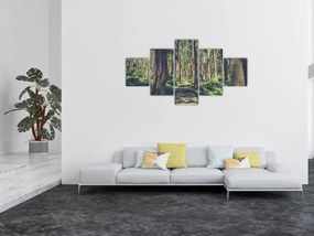 Obraz ścieżki pomiędzy drzewami (125x70 cm)