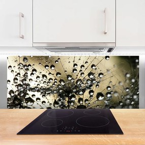 Szkło Dekoracyjne do Kuchni Lekkość Mniszka Lekarskiego