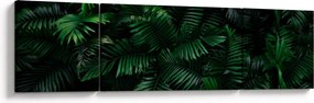 Obraz - Paprocie tropikalne (170x50 cm)