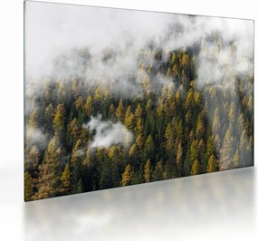 Obraz na szkle lasu w chmurach (70x50 cm)